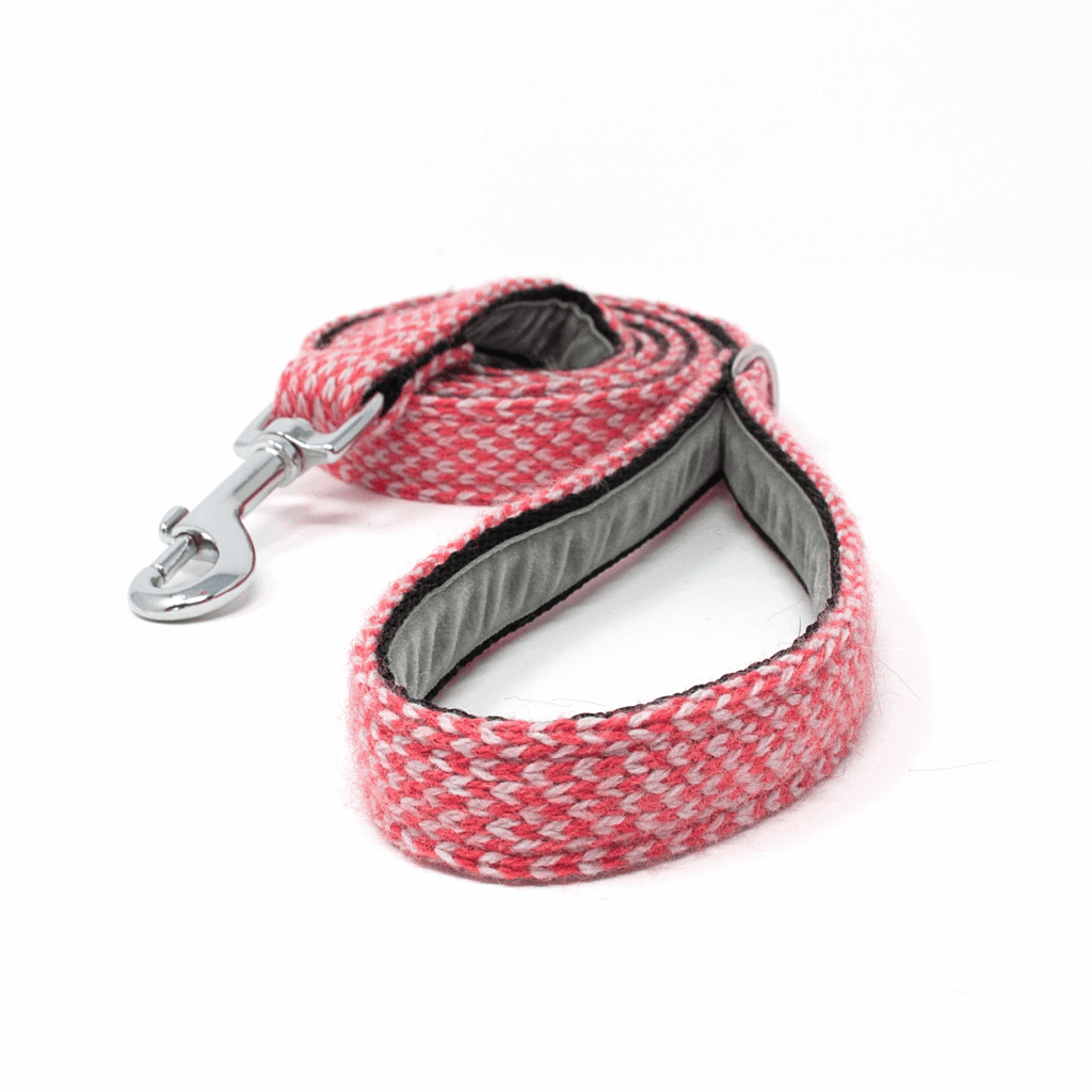 Stocky & Dee Traditional Lead