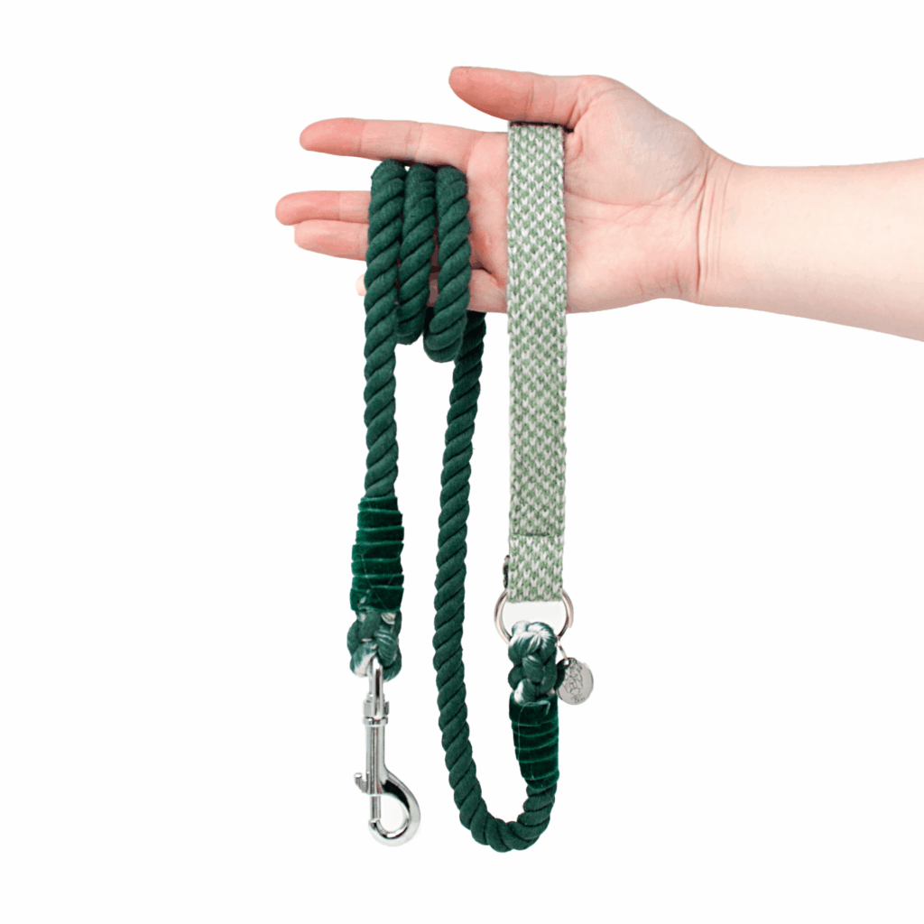 Stocky & Dee Rope Lead