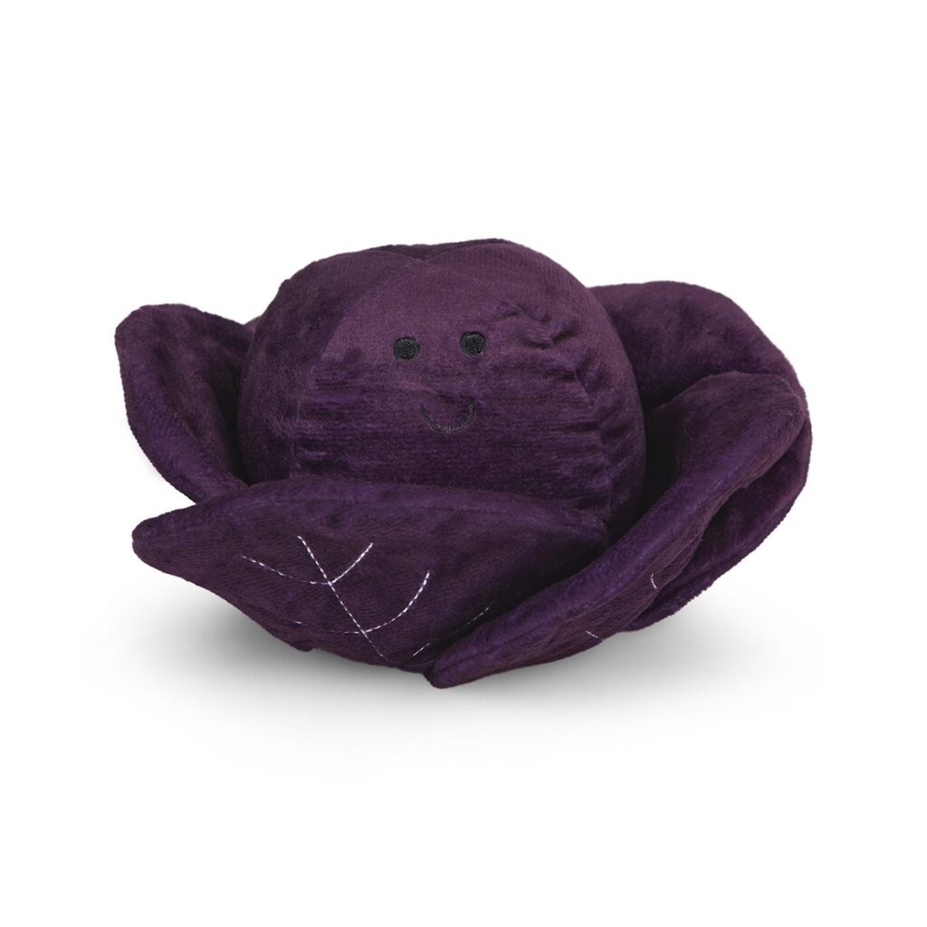 Petface Foodie Faces Red Cabbage