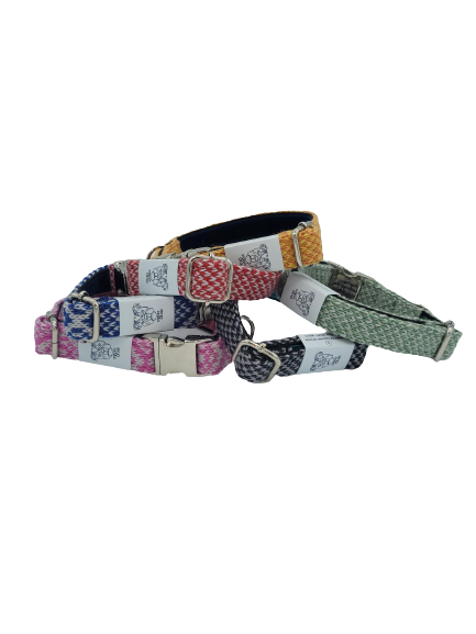 Stocky & Dee Collar