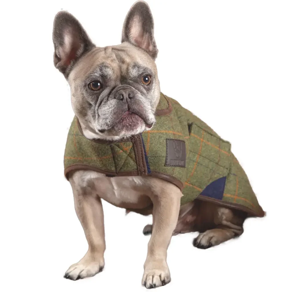 Digby & Fox Tweed Coat